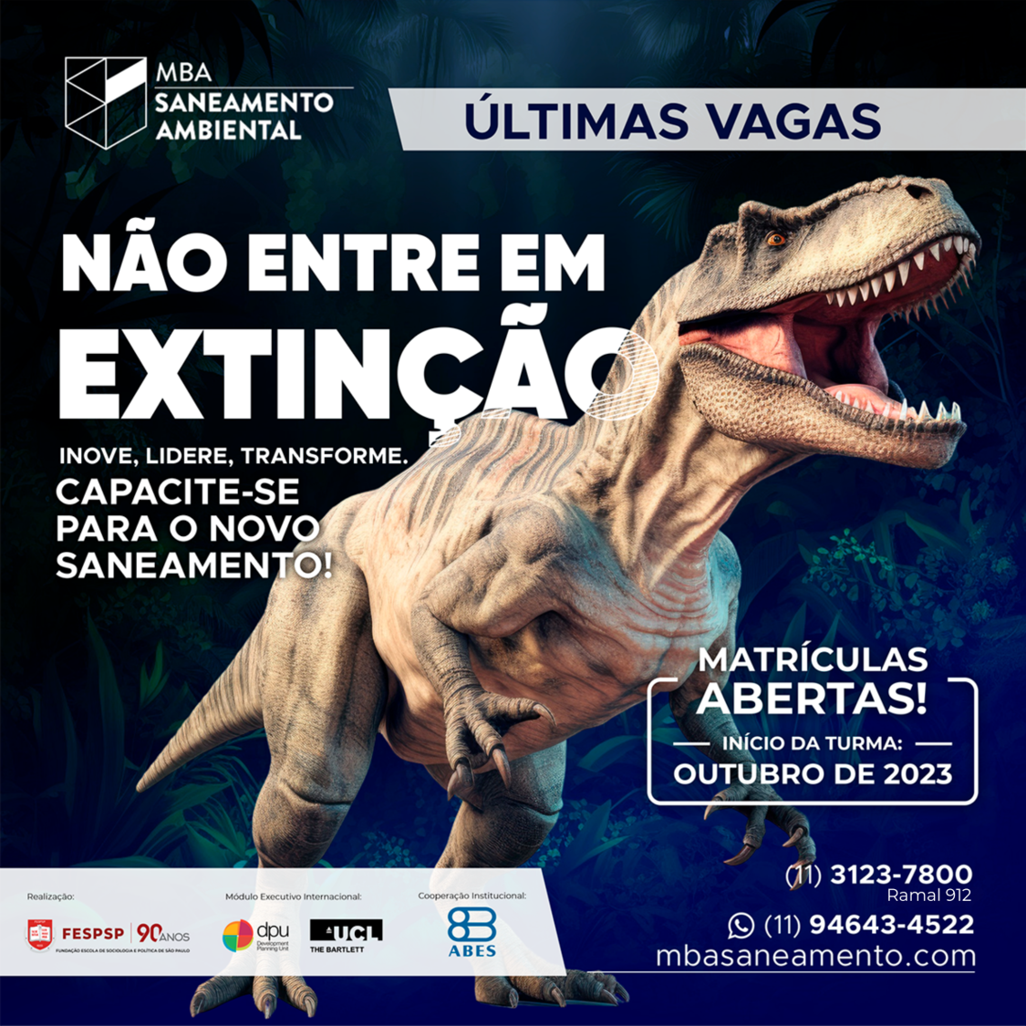 ExtincaoEMKT